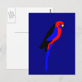 Crimson Rosala - Australian Parrot Briefkaart (Voorkant / Achterkant)