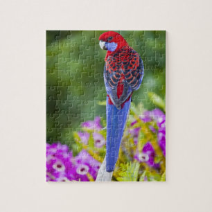 Crimson Rosella en achtergrond van orchideeën Lami Legpuzzel