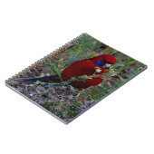 Crimson Rosella Notitieboek (Linkerzijde)
