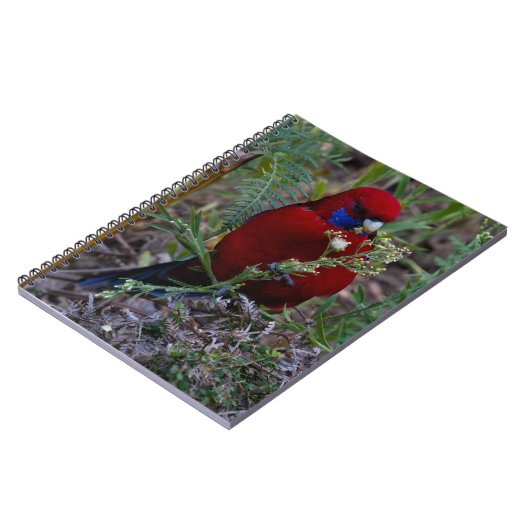 Crimson Rosella Notitieboek (Linkerzijde)