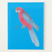 CRIMSON ROSELLA PLANNER (Achterkant)