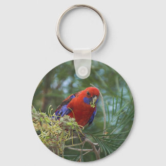 Crimson Rosella Sleutelhanger