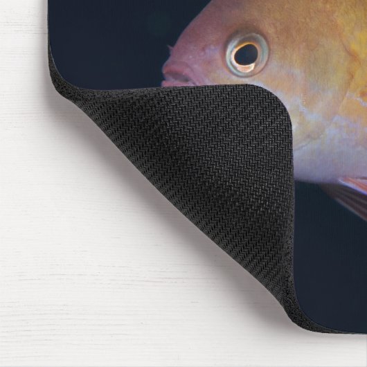 Crimson Seabream Muismat (Hoek)