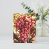 Crimson Seedless Grapes Briefkaart (Staand voorkant)
