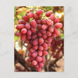 Crimson Seedless Grapes Briefkaart