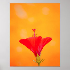 Crimson Serenity Poster