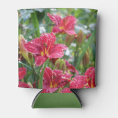 Crimson Shadows Red Daylilies Blikjeskoeler (Voorkant)