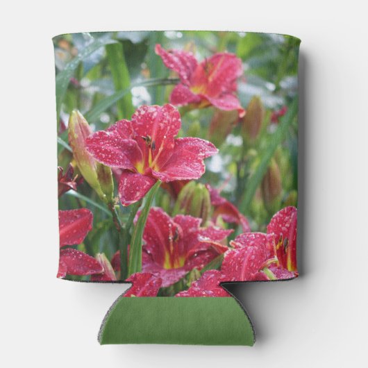 Crimson Shadows Red Daylilies Blikjeskoeler (Achterkant)