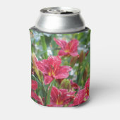 Crimson Shadows Red Daylilies Blikjeskoeler (Blikje Achterkant)