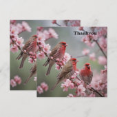 Crimson Trio: Red Finches te midden van roze bloem Bedankkaart (Voorkant / Achterkant)