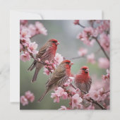 Crimson Trio: Red Finches te midden van roze bloem Bedankkaart (Achterkant)