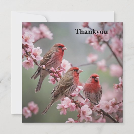 Crimson Trio: Red Finches te midden van roze bloem Bedankkaart (Voorkant)