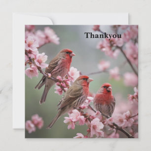 Crimson Trio: Red Finches te midden van roze bloem Bedankkaart