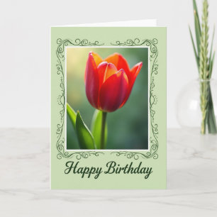 Crimson Tulp Verjaardagskaart Kaart