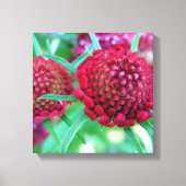 Crimson Wild Flower Canvas Afdruk (Voorkant)