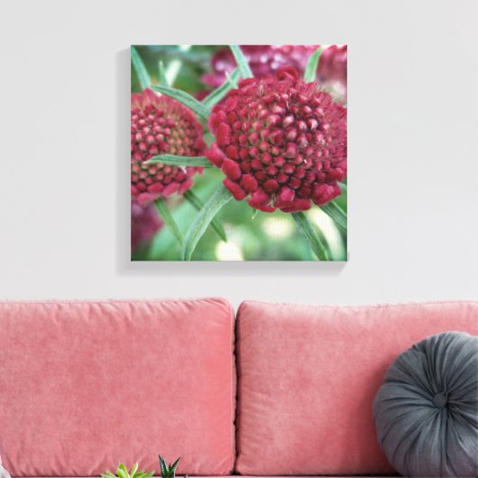 Crimson Wild Flower Canvas Print (Insitu (Woonkamer))