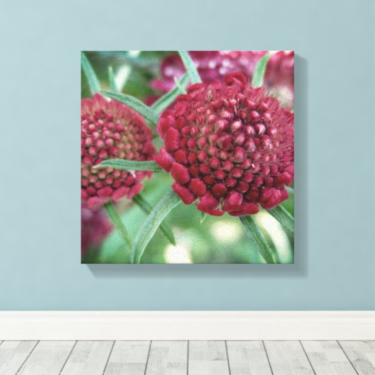 Crimson Wild Flower Canvas Print (Insitu (Houten vloer))