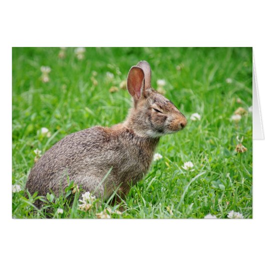 Cringe. Ik heb je verjaardagskaart gemist (Voorkant Horizontaal)