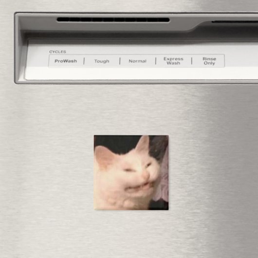 Cringe kat meme magneet (Insitu (Vaatwasser))