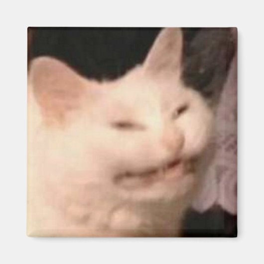 Cringe kat meme magneet (Voorkant)