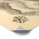 Crinoidea-kleur Ernst Haeckel afdrukken Poster (Hoek)