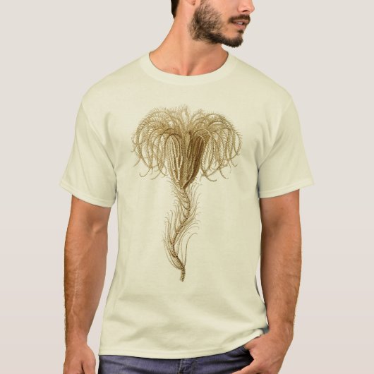 Crinoïden T-shirt (Voorkant)