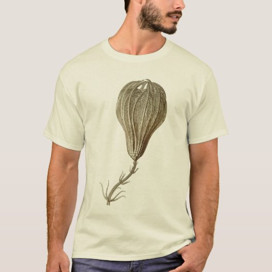 Crinoïden T-shirt (Voorkant)