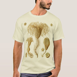 Crinoïden T-shirt