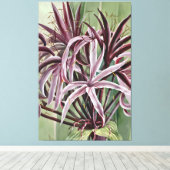 Crinum Asiaticum L Canvas Afdruk (Insitu (Houten vloer))