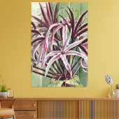 Crinum Asiaticum L Canvas Afdruk (Insitu (Woonkamer))