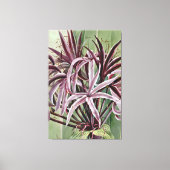 Crinum Asiaticum L Canvas Afdruk (Voorkant)