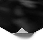 Crinum Black & White Poster (Hoek)