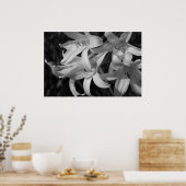 Crinum Black & White Poster (Keuken)