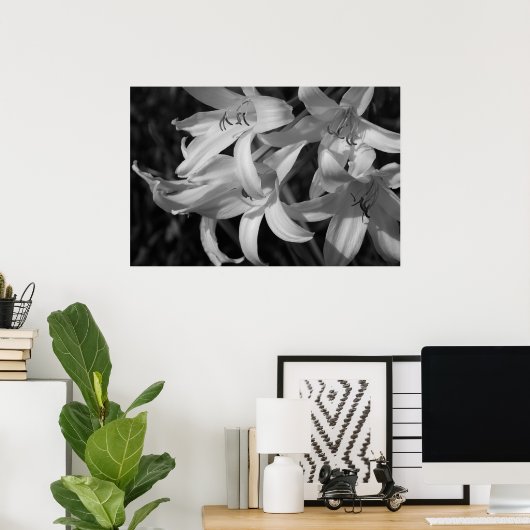 Crinum Black & White Poster (Thuiskantoor)