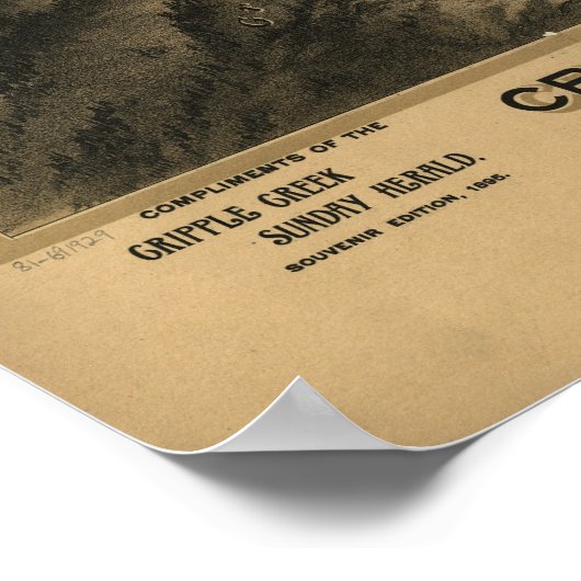 Cripple Creek Colorado 1895 Panorama Poster (Hoek)