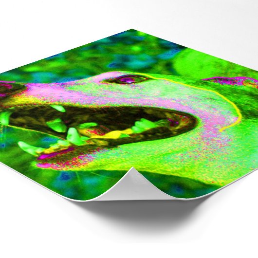 Crisco Poster (Hoek)