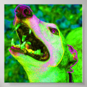 Crisco Poster (Voorkant)