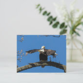 Crises Cross Eagles Briefkaart (Staand voorkant)