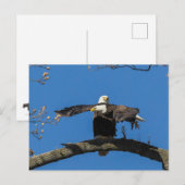 Crises Cross Eagles Briefkaart (Voorkant / Achterkant)