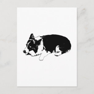crisp hallo, corgi kalm briefkaart