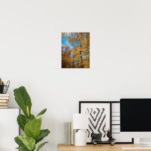 Crisp Herfst dag Poster