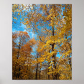 Crisp Herfst dag Poster (Voorkant)