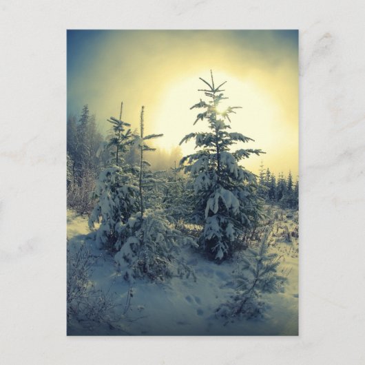 Crisp Winter Morning Briefkaart (Voorkant)