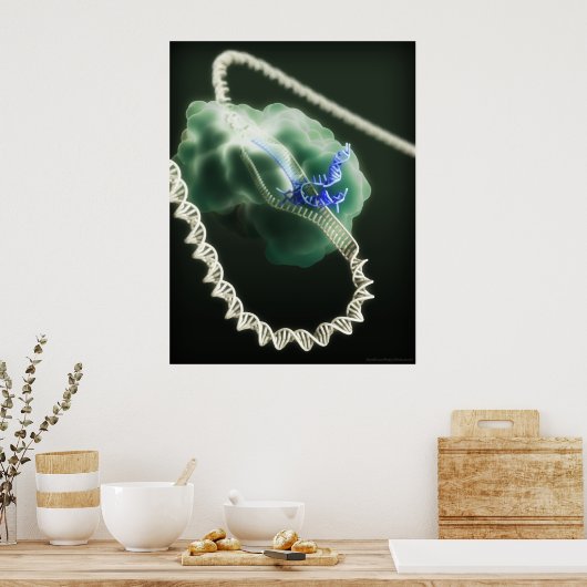 CRISPR-Cas9 complex op het werk Poster (Keuken)
