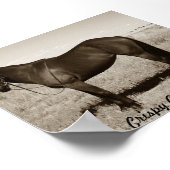 Crispy Cookie Poster (Hoek)