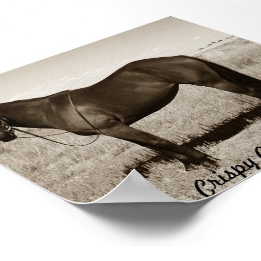 Crispy Cookie Poster (Hoek)