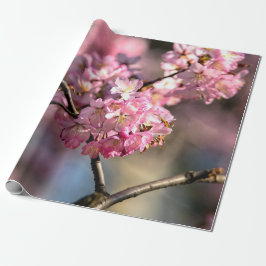 Crisscrossed Sakura Tree Twigs Cadeaupapier