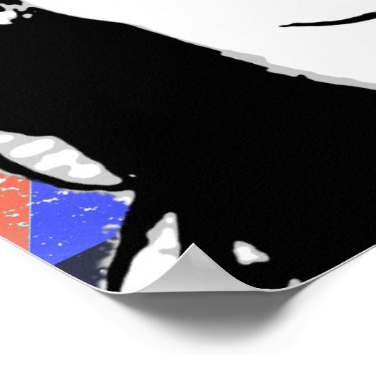 Cristina Fernandez de Kirchner Poster (Hoek)