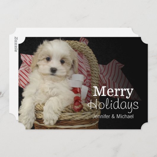 Cristmas Malti-poo puppy sitting in basketbal Feestdagenkaart (Voorkant / Achterkant)