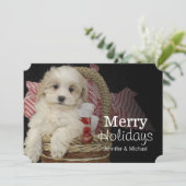 Cristmas Malti-poo puppy sitting in basketbal Feestdagenkaart (Staand voorkant)